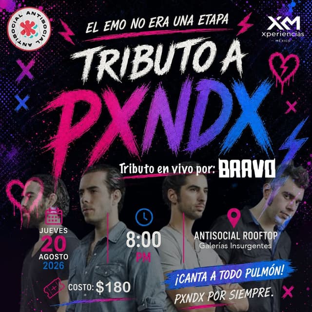 TRIBUTO A PANDA