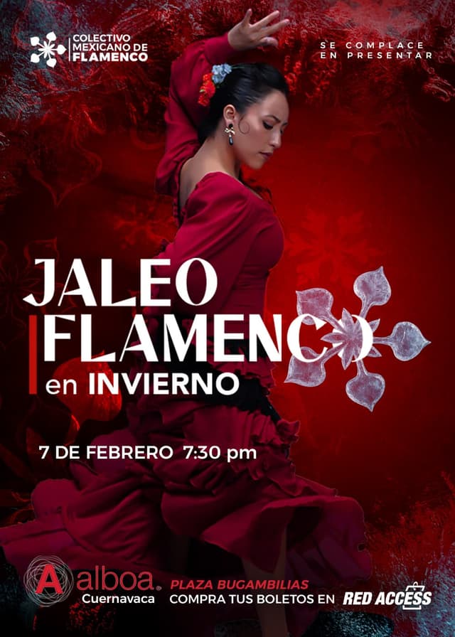 Jaleo Flamenco en Invierno